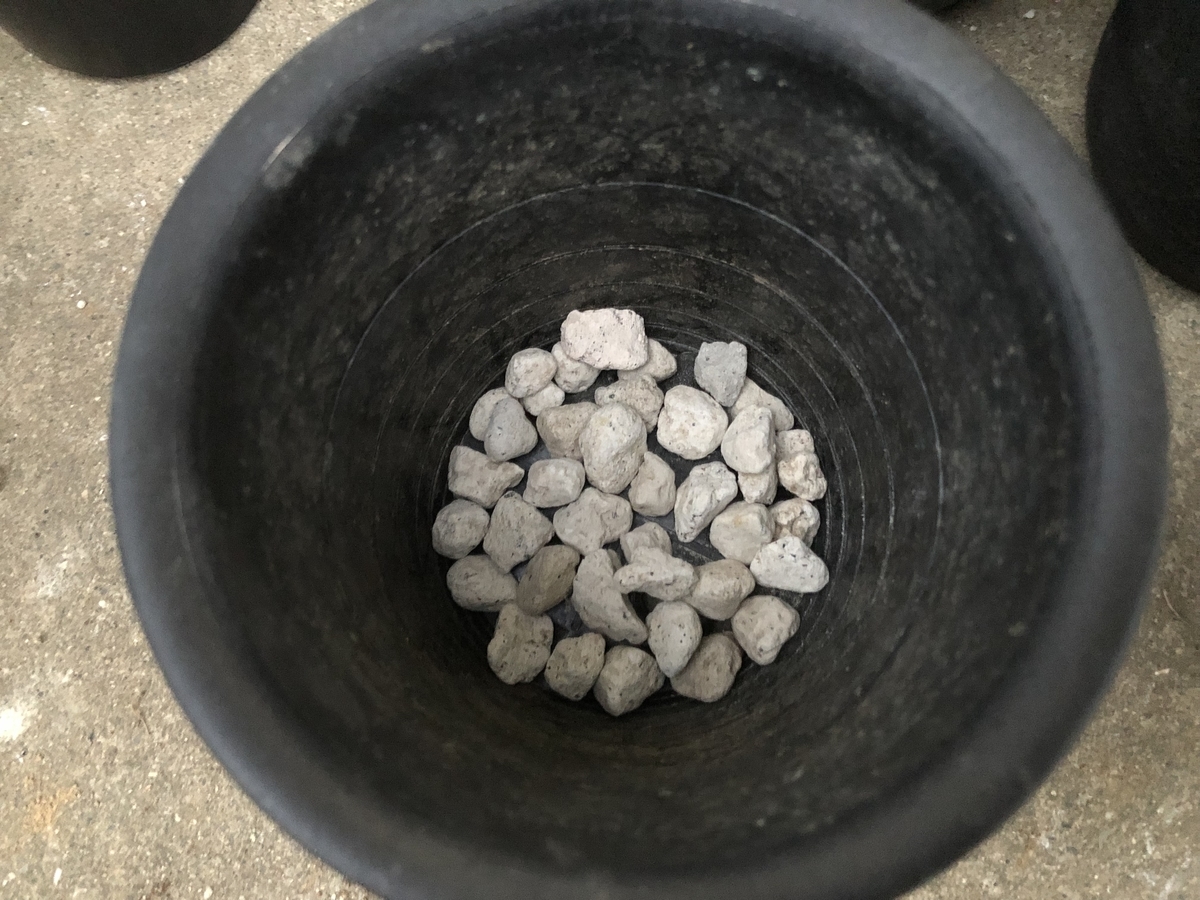 f:id:cactuspower:20210928192407j:plain