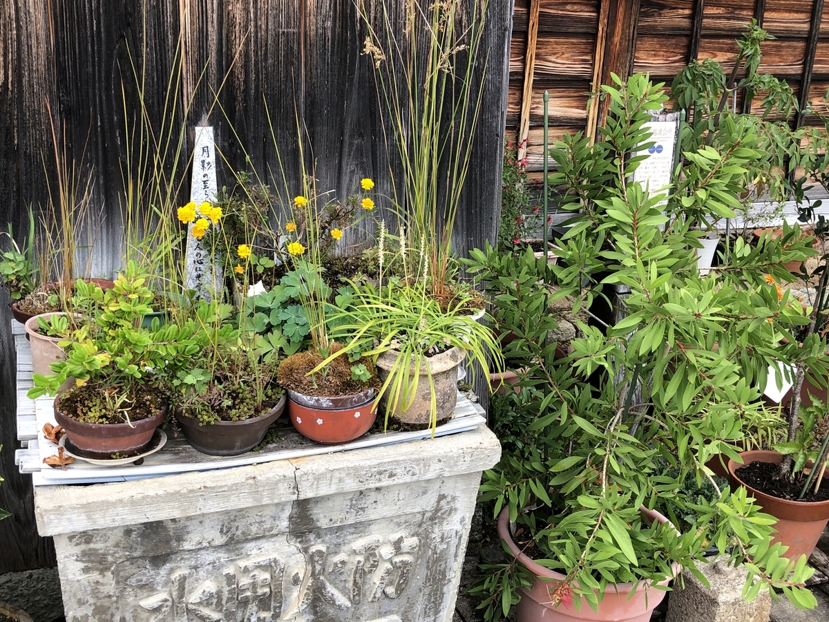 f:id:cactuspower:20211013225319j:plain