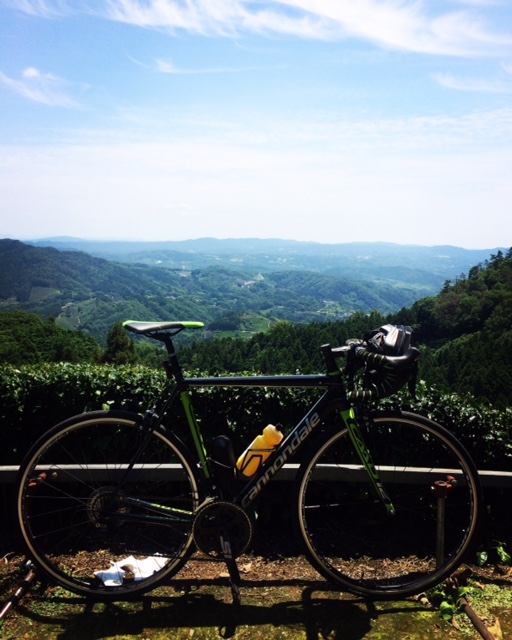 三国越林道を走ってきた びおらいど