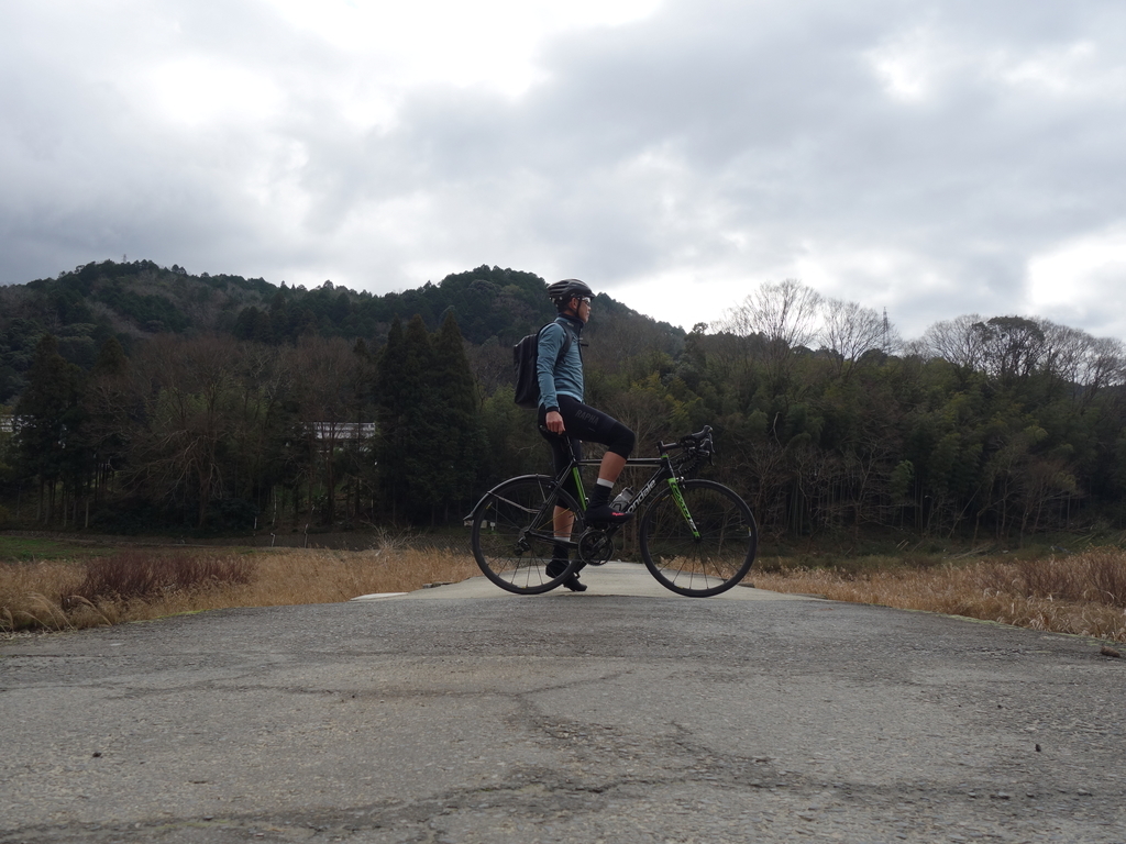 f:id:cadence70:20190105070208j:plain
