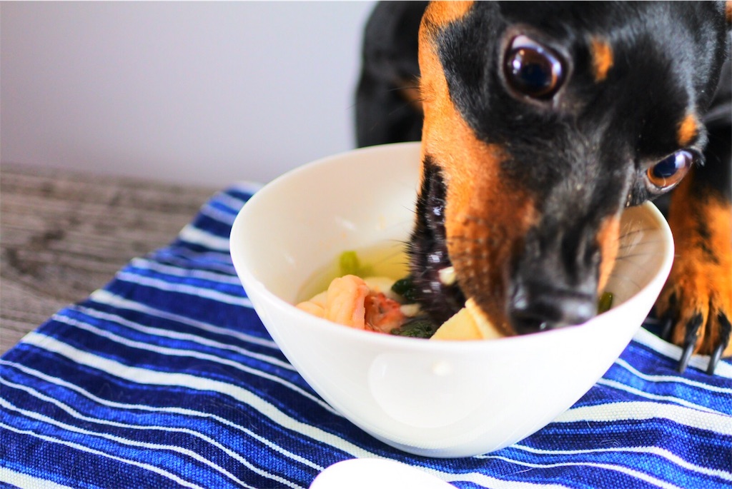 f:id:cadogdeliowner:20180813105900j:image f:id:cadogdeliowner:20180813105900j:image