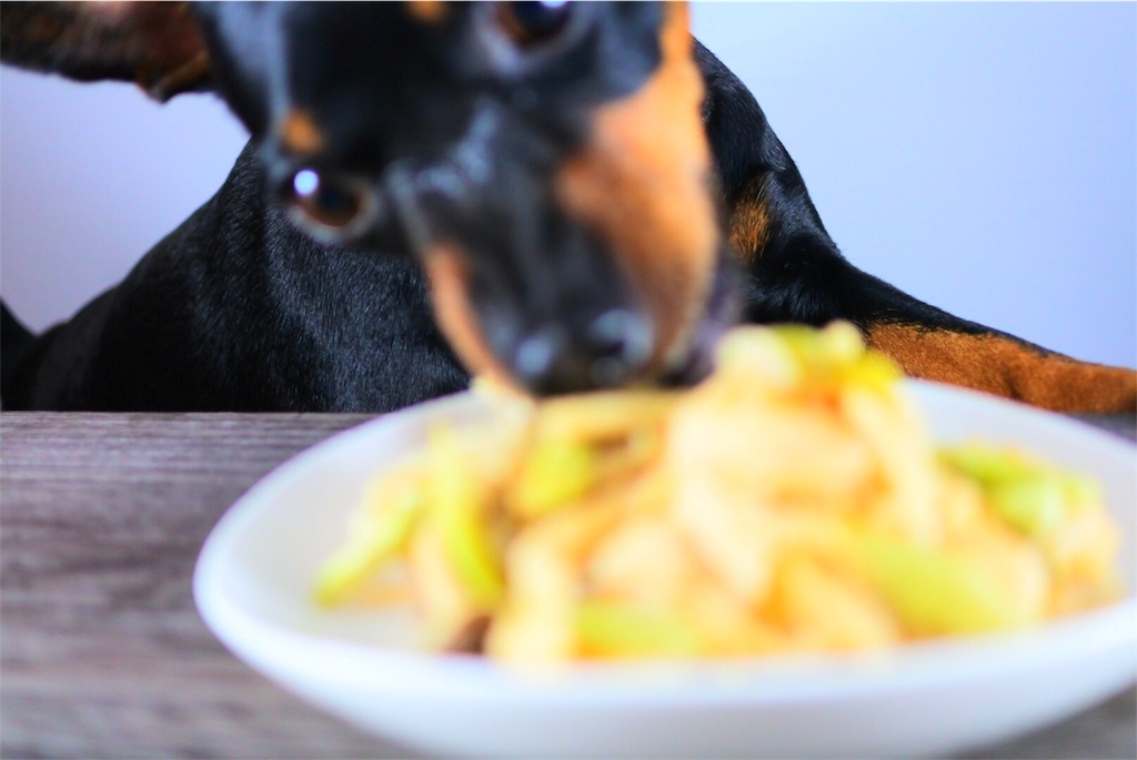 f:id:cadogdeliowner:20180813105910j:image f:id:cadogdeliowner:20180813105910j:image
