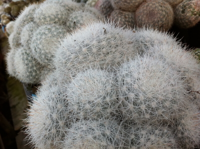 20110227192901
