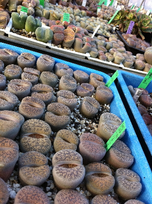 20110227193003
