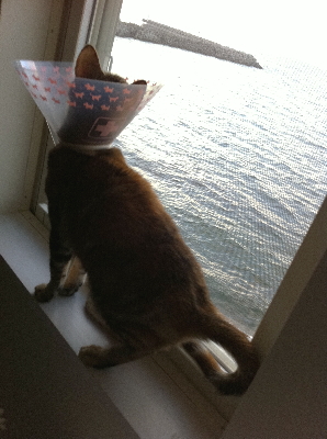 20110304181132