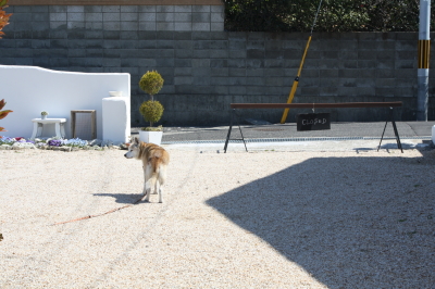 f:id:cafe-azito:20110327174846j:image:h200