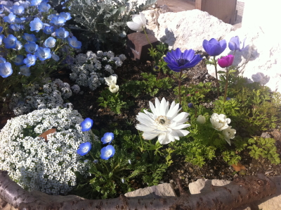 f:id:cafe-azito:20110415174721j:image:h200 f:id:cafe-azito:20110415174721j:image:h200