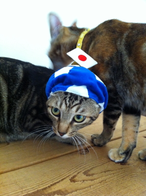 f:id:cafe-azito:20110908214740j:image:w200 f:id:cafe-azito:20110908214740j:image:w200