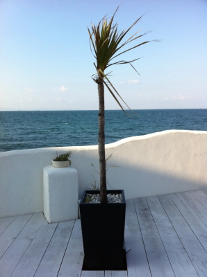 f:id:cafe-azito:20111212144953j:image:w200 f:id:cafe-azito:20111212144953j:image:w200