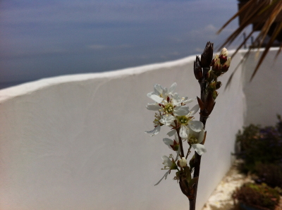 f:id:cafe-azito:20120522145608j:image:h200