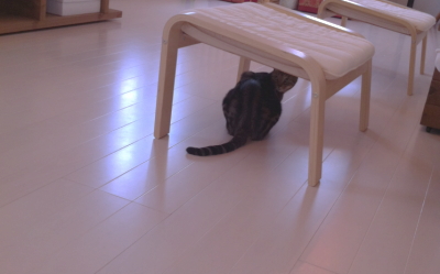 f:id:cafe-azito:20120703214457j:image:h190 f:id:cafe-azito:20120703214457j:image:h190