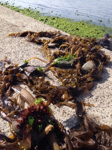 f:id:cafe-azito:20150223140434j:image:w300 f:id:cafe-azito:20150223140434j:image:w300