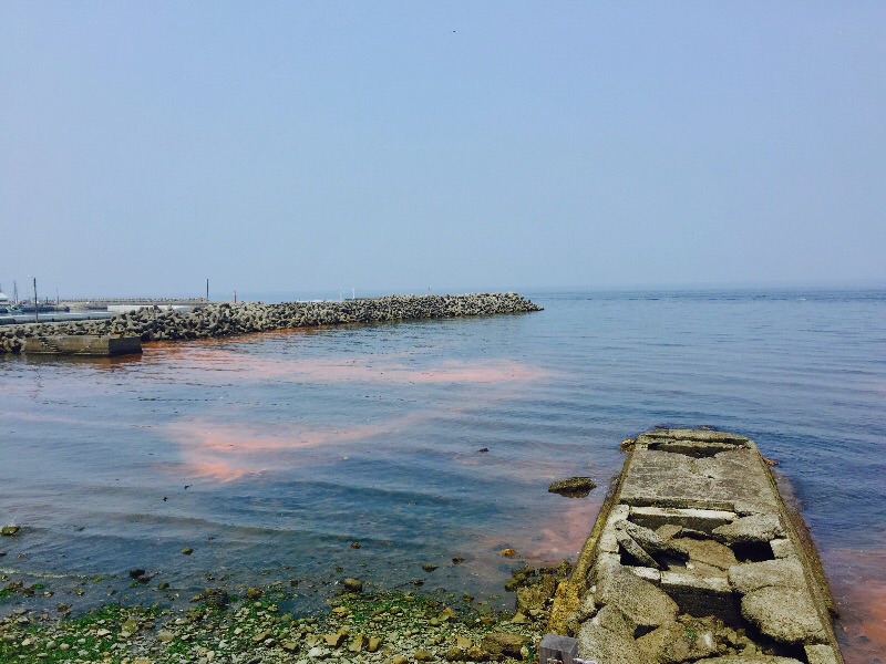 f:id:cafe-azito:20150731000523j:image:h250