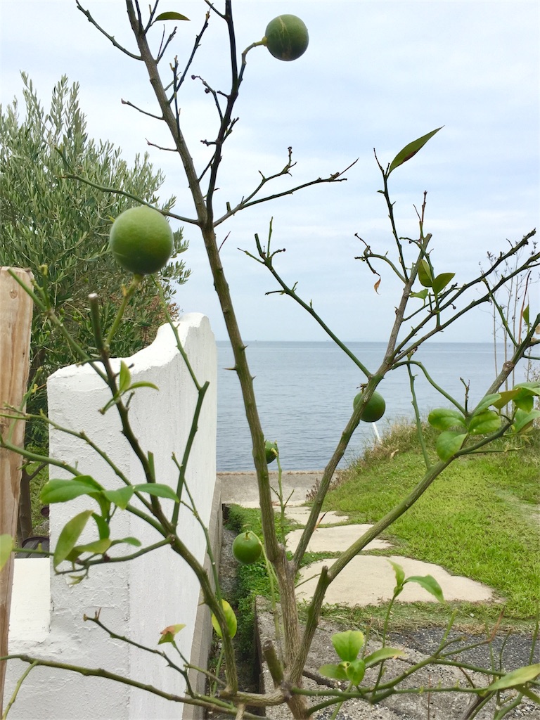 f:id:cafe-azito:20170927115706j:image f:id:cafe-azito:20170927115706j:image