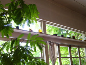 f:id:cafe-kuroneco:20090514143144j:image