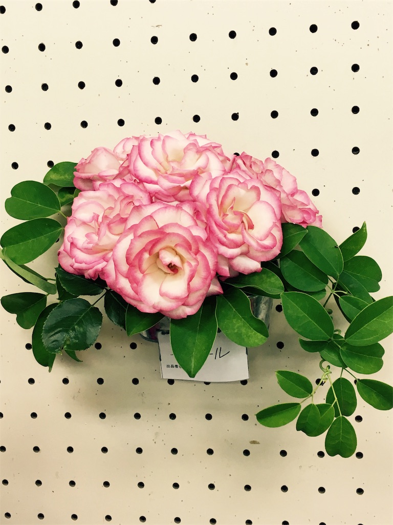 f:id:cafe-parien:20170528182633j:image f:id:cafe-parien:20170528182633j:image