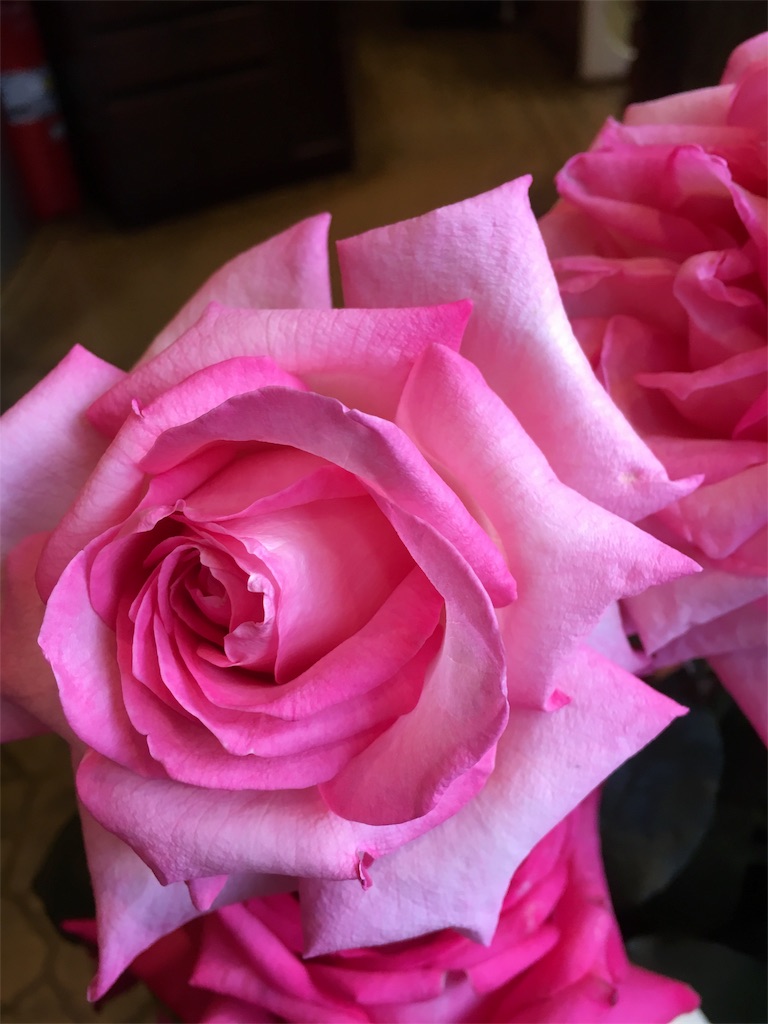f:id:cafe-parien:20170528183353j:image f:id:cafe-parien:20170528183353j:image