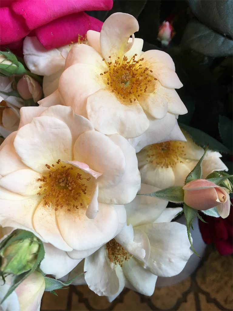 f:id:cafe-parien:20170528183405j:image f:id:cafe-parien:20170528183405j:image