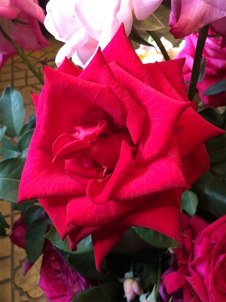 f:id:cafe-parien:20170528183420j:image f:id:cafe-parien:20170528183420j:image