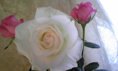 f:id:cafe485:20100516094447j:image:w90 f:id:cafe485:20100516094447j:image:w90
