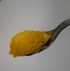 f:id:cafe485:20101031154249j:plain
