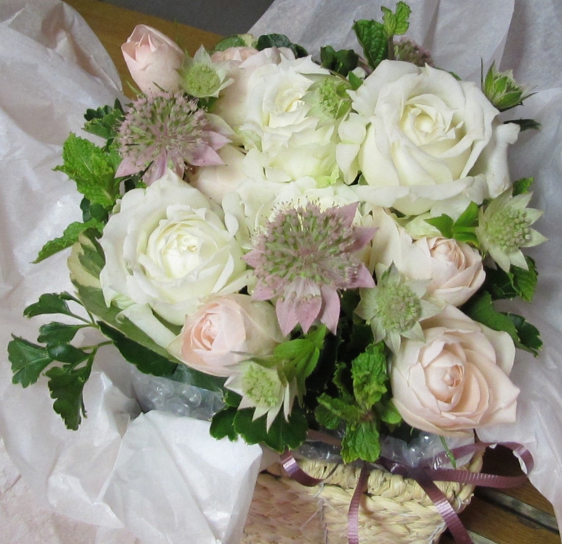 f:id:cafe485:20110629123953j:image f:id:cafe485:20110629123953j:image