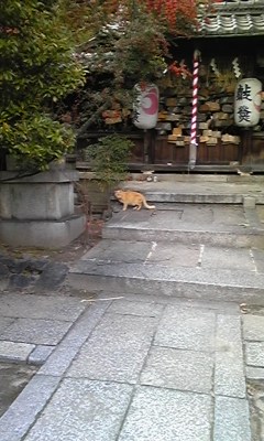 f:id:cafe485:20120228091225j:image