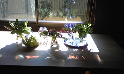 f:id:cafe485:20120624213510j:image