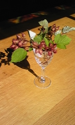 f:id:cafe485:20120624213511j:image