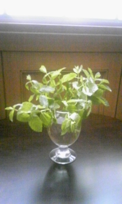 f:id:cafe485:20120624213512j:image