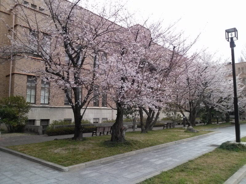f:id:cafe485:20130331204743j:image:right:w200