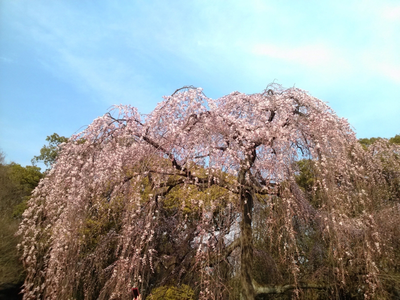 f:id:cafe485:20140401002116j:plain
