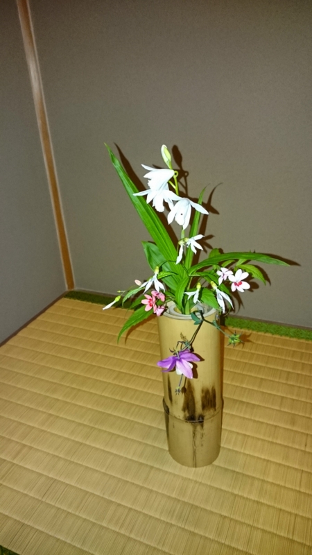 f:id:cafe485:20150511203719j:image:w300