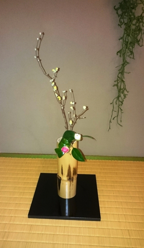 f:id:cafe485:20170131115939j:image:w300