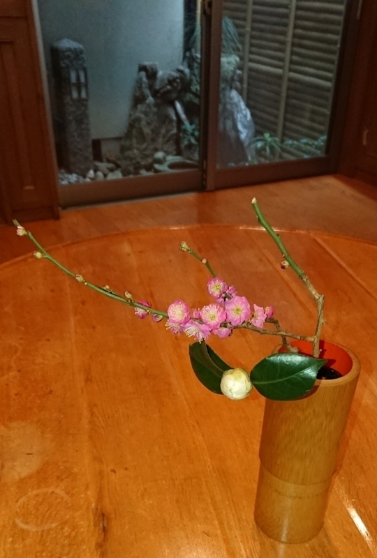 f:id:cafe485:20180129213651j:image:w200:right