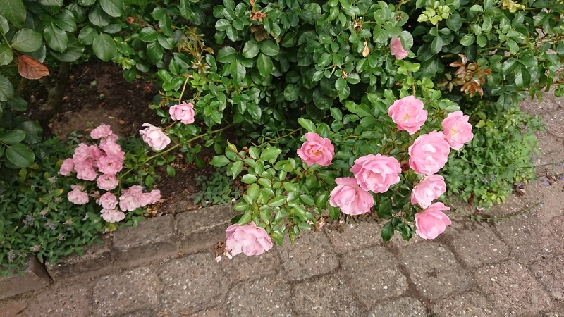 f:id:cafe485:20180908181324j:image