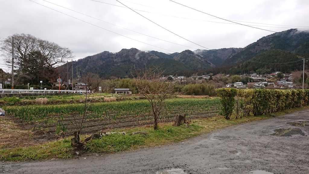 f:id:cafe485:20190301184242j:plain