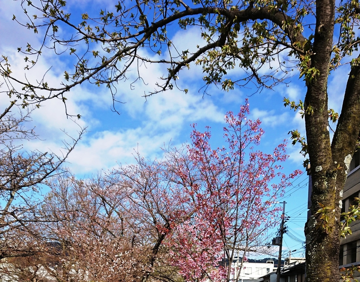 f:id:cafe485:20190401100239j:plain