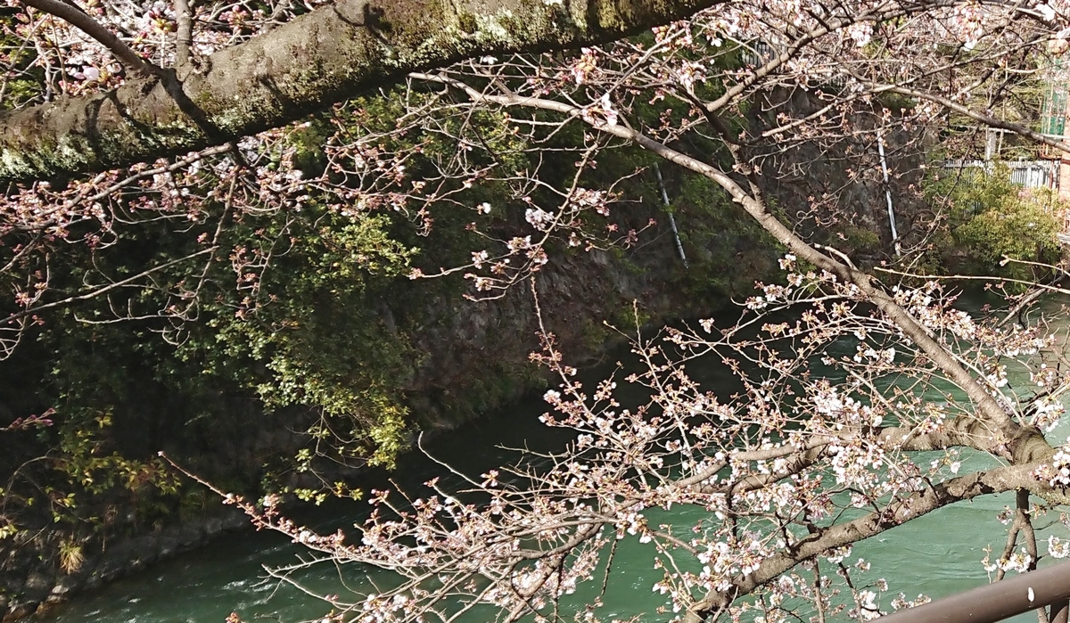 f:id:cafe485:20190401100337j:plain