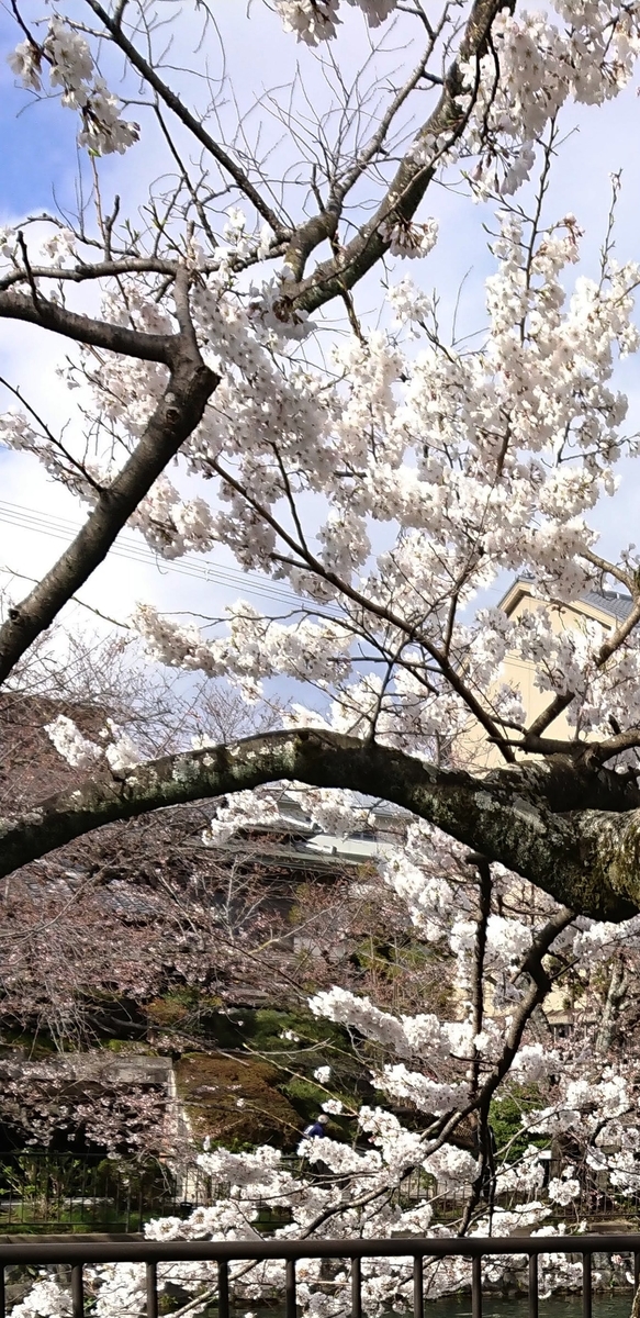 f:id:cafe485:20190401102749j:plain:w300