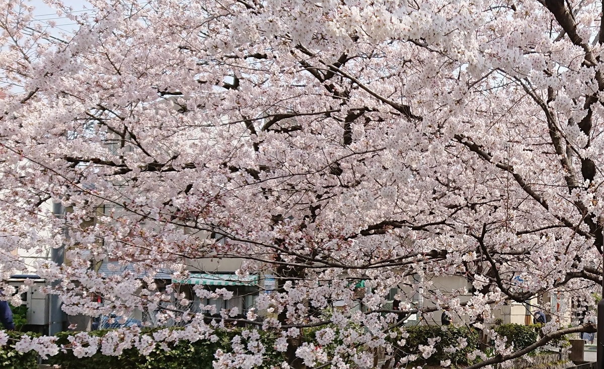 f:id:cafe485:20190421105759j:plain