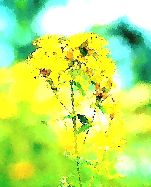 f:id:cafe485:20190503112706j:plain:w200:right f:id:cafe485:20190503112706j:plain:w200:right
