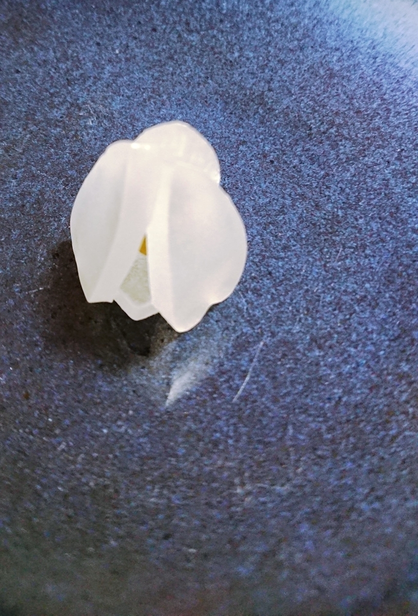 f:id:cafe485:20190629141336j:plain:w200