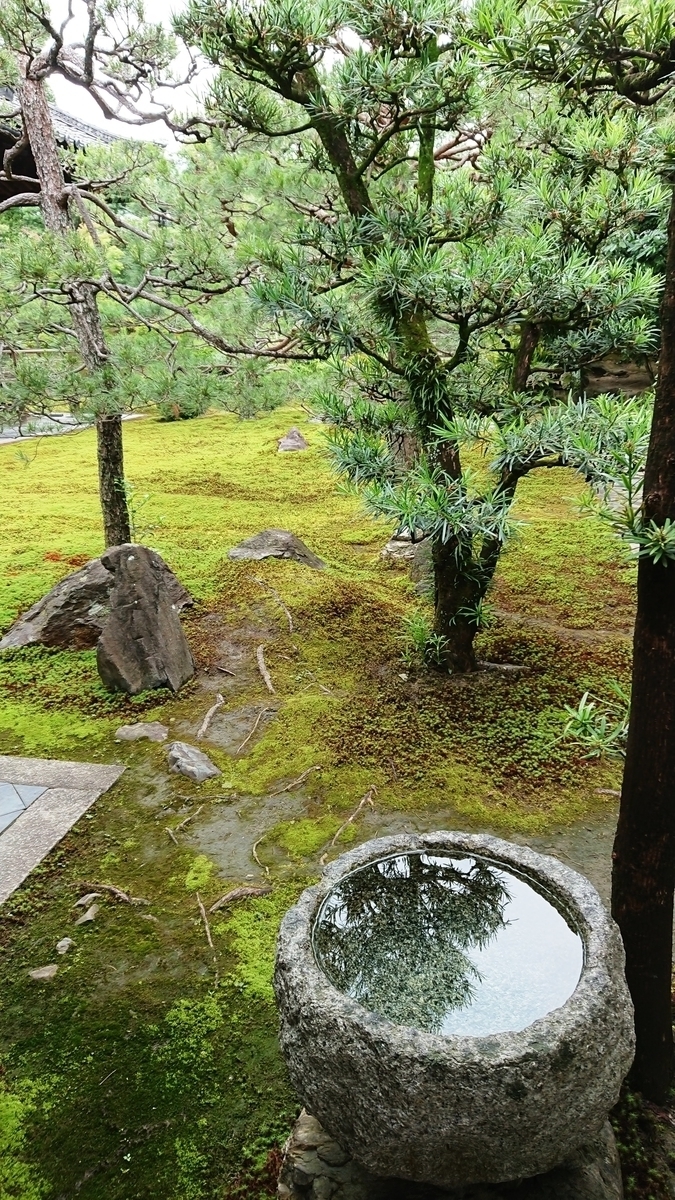 f:id:cafe485:20190629141433j:plain:w300