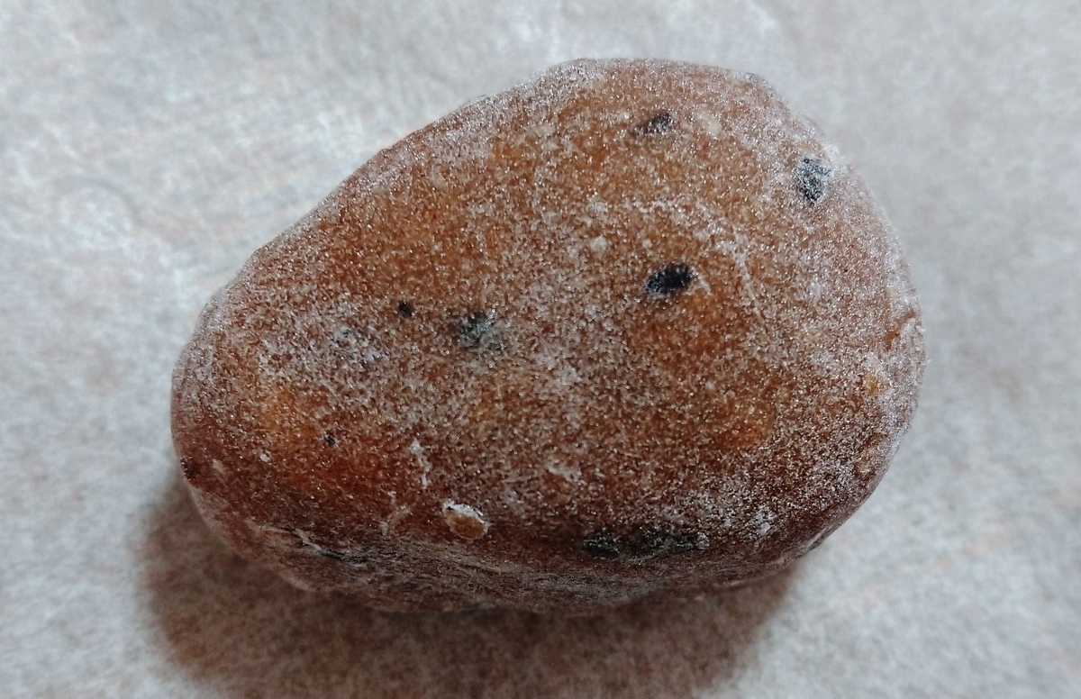 f:id:cafe485:20191113091356j:plain:w300