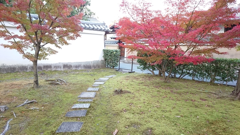 f:id:cafe485:20191118122614j:plain