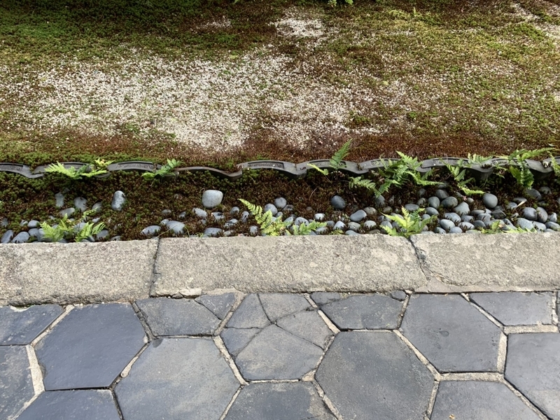 f:id:cafe485:20191118122738j:plain