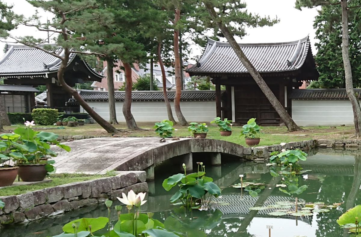 f:id:cafe485:20210712211055p:plain