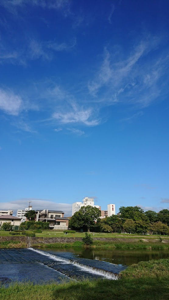 f:id:cafe485:20210930113804p:plain