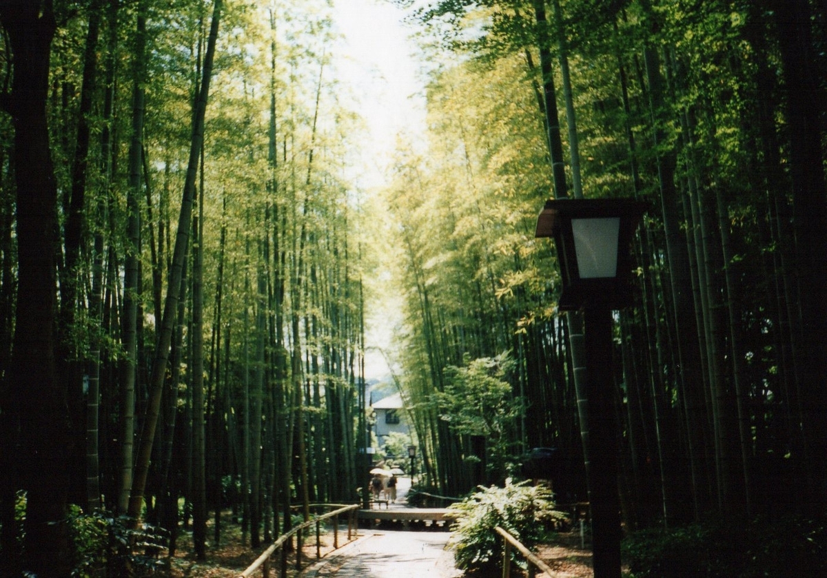 修善寺